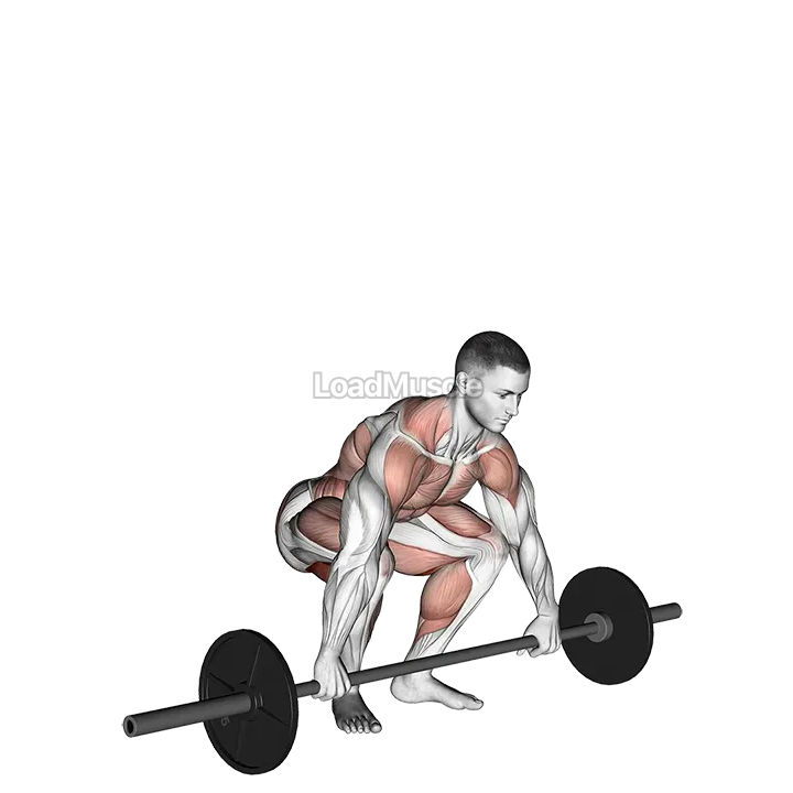 Snatch Pull demonstration