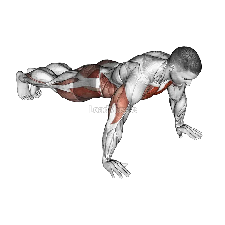 Spider Crawl Push up demonstration