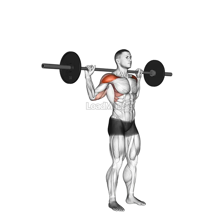 Standing Behind Neck Press demonstration