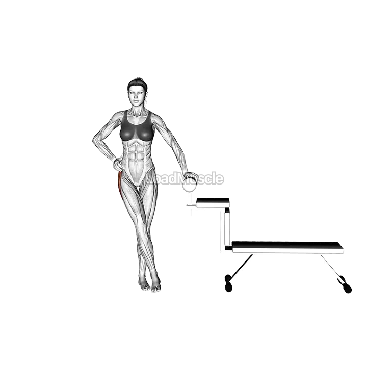 Standing Hip Abduction demonstration