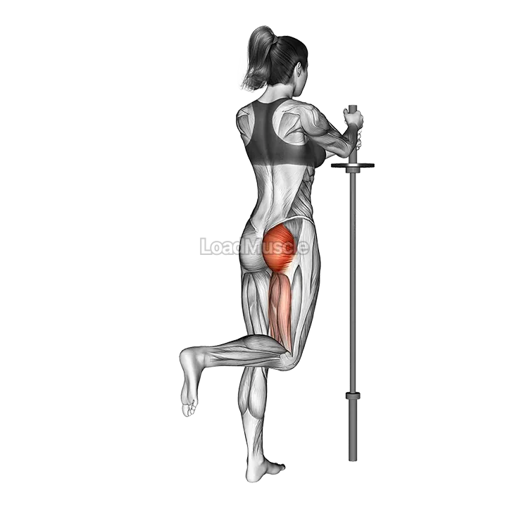 Standing Hip Extension (bent knee) demonstration