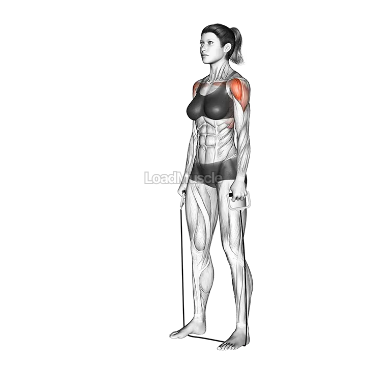 Standing Lateral Raise (with band) demonstration