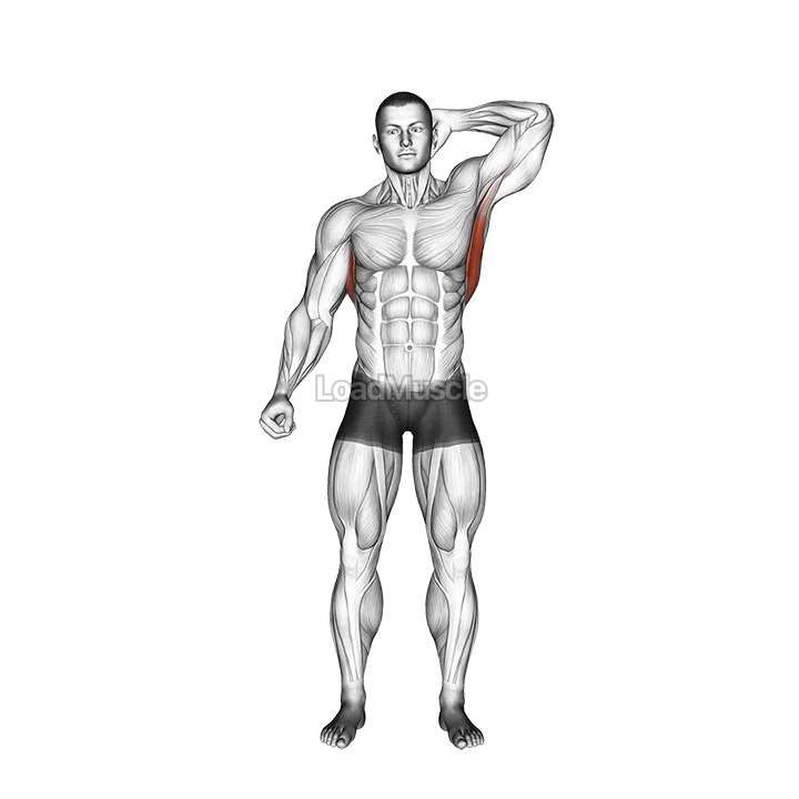 Standing Lateral Stretch demonstration