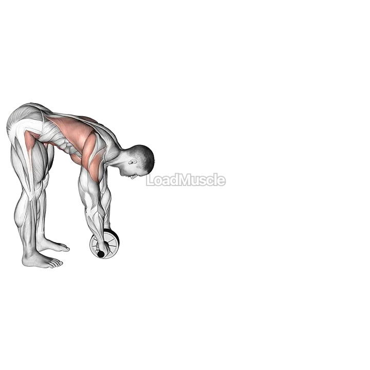 Standing Wheel Rollout demonstration