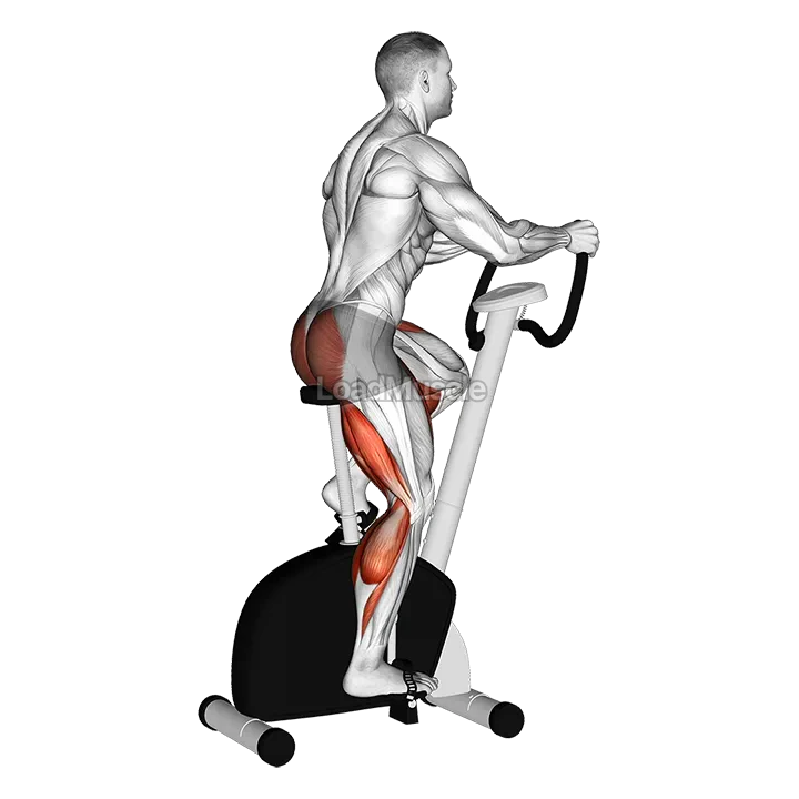 Stationary Bike Walk demonstration