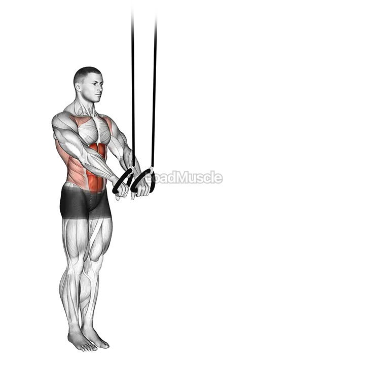 Suspended Abdominal Fallout demonstration