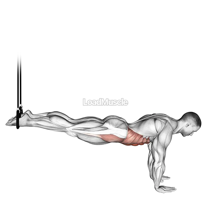 Suspended Reverse Crunch demonstration