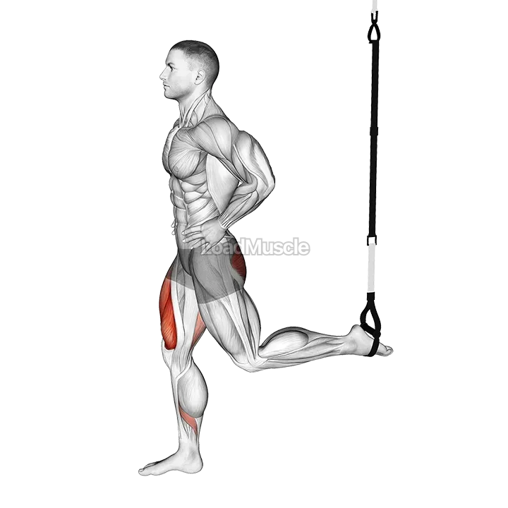 Suspended Split Squat demonstration