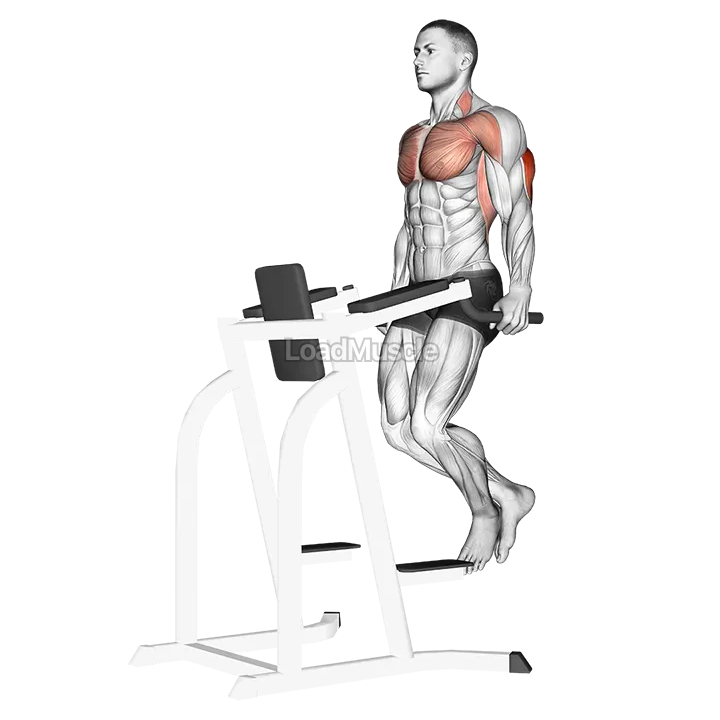 Triceps Dip demonstration