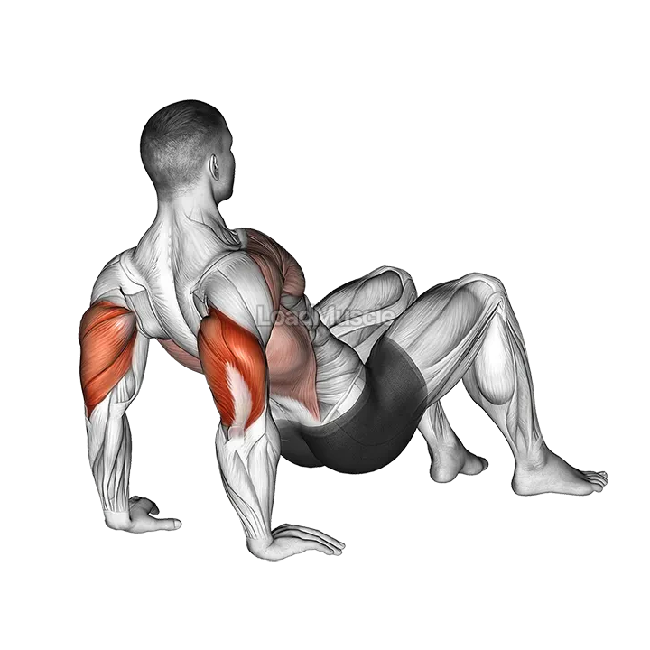 Triceps Dips Floor demonstration