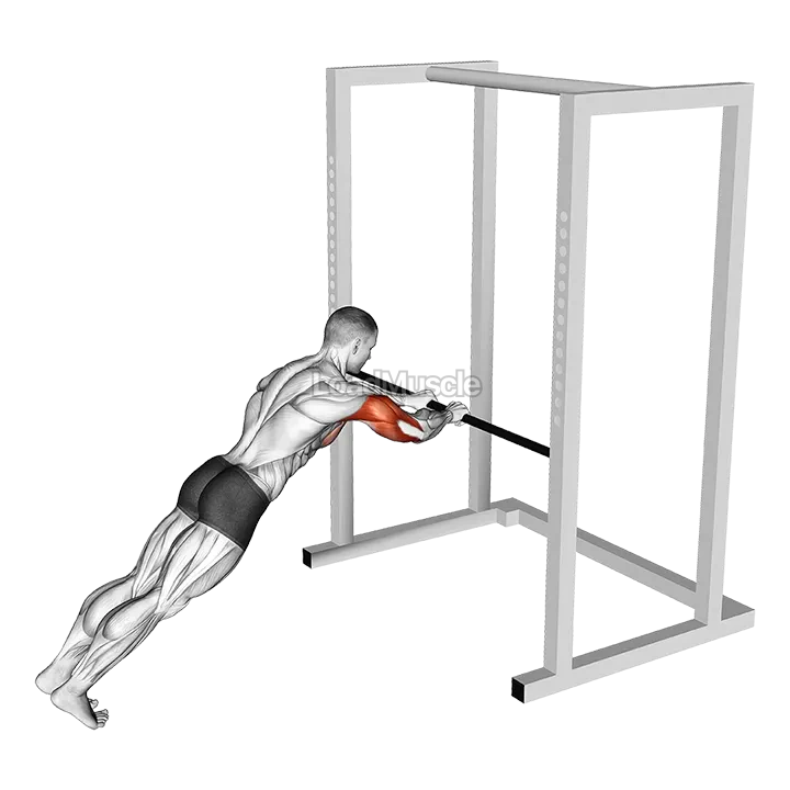 Triceps Press demonstration