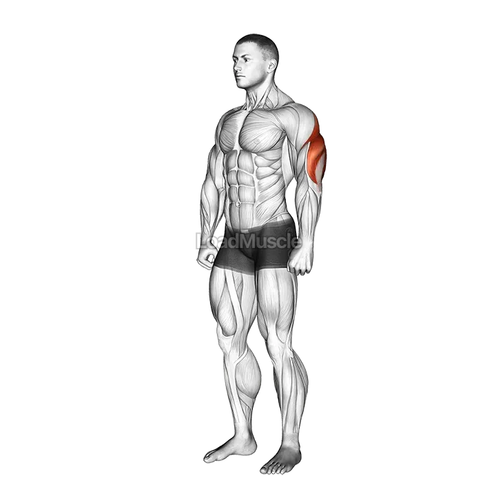 Triceps Stretch demonstration