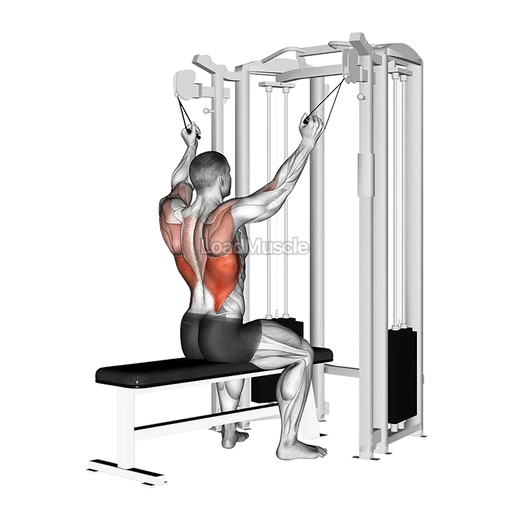 twin handle parallel grip lat pulldown demonstration