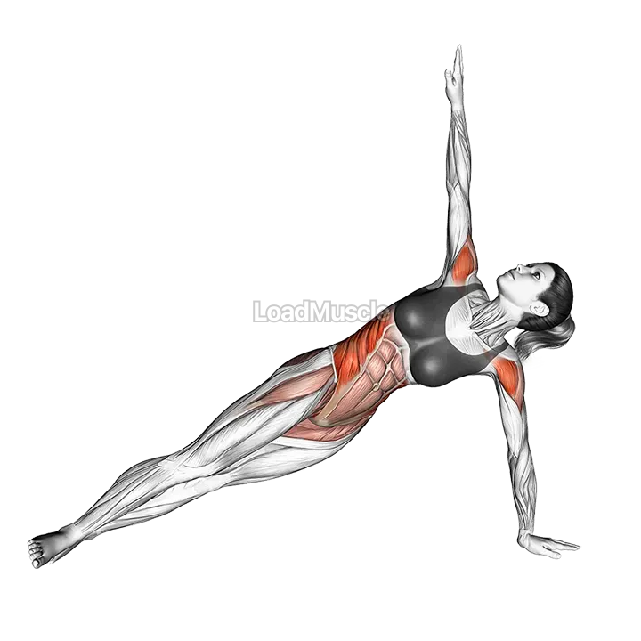 Twist Side Bridge demonstration