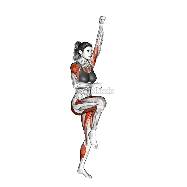 Vertical Mountain Climber demonstration