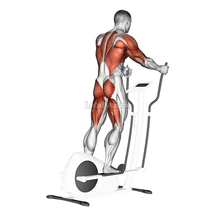 Walk (equipment) demonstration