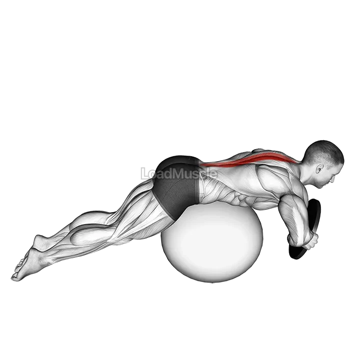 Weighted Hyperextension (on stability ball) demonstration