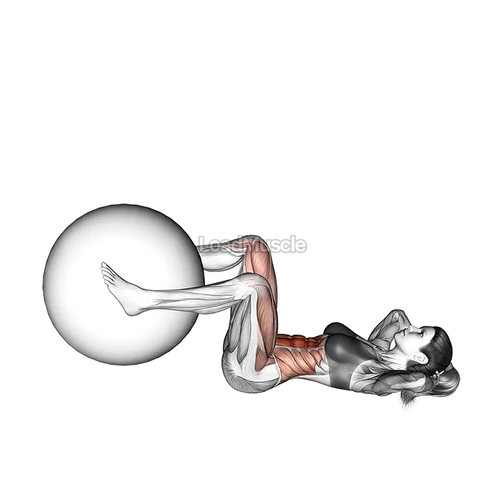 Weighted Leg Extension Crunch demonstration