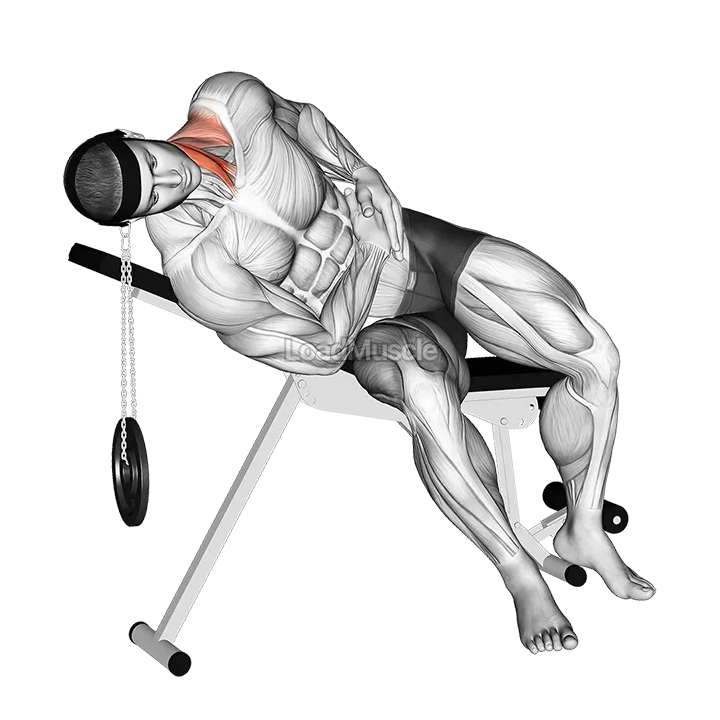 Weighted Lying Side Lifting Head (with head harness) demonstration
