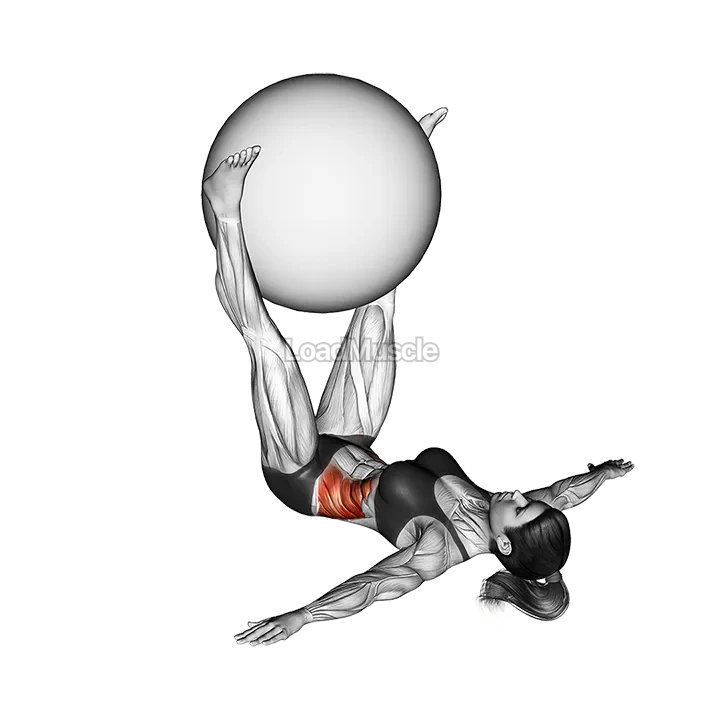 Weighted Lying Twist demonstration