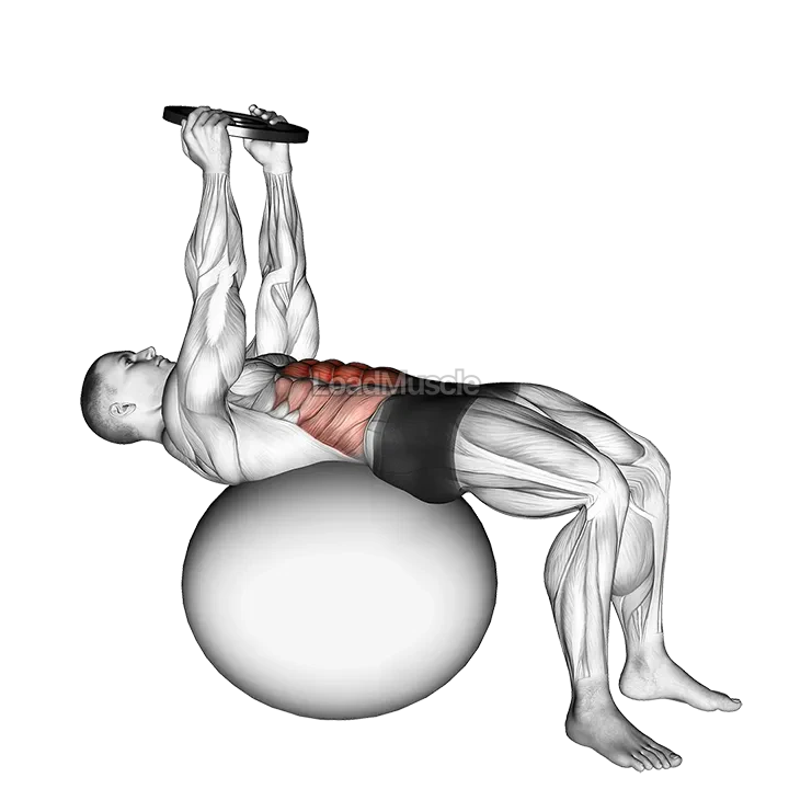 Weighted Overhead Crunch (on stability ball) demonstration