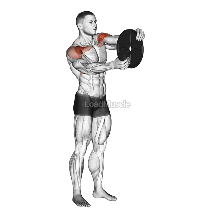 Weighted Round Arm demonstration
