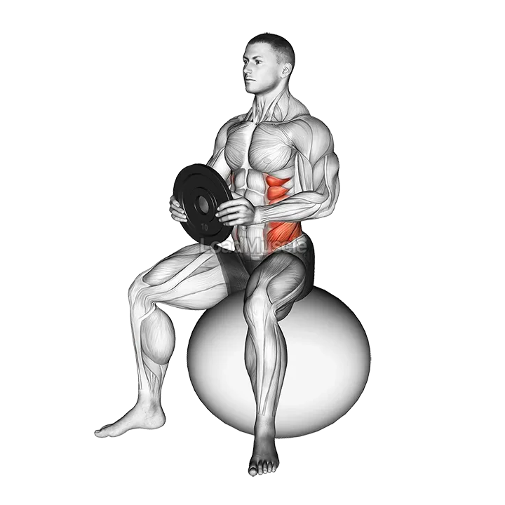 Weighted Seated Twist (on stability ball) demonstration