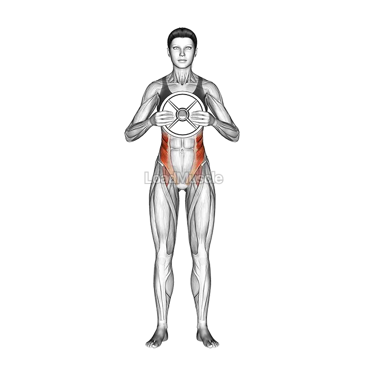 Weighted Standing Twist demonstration