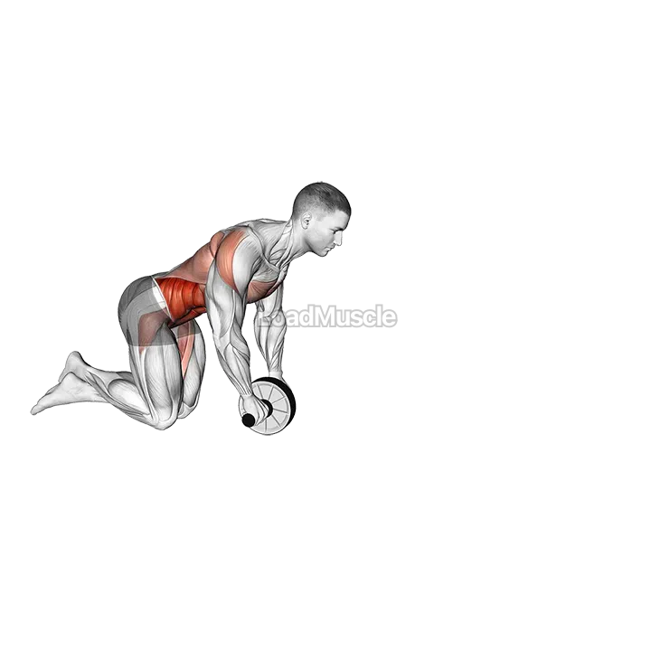 Wheel Rollout demonstration