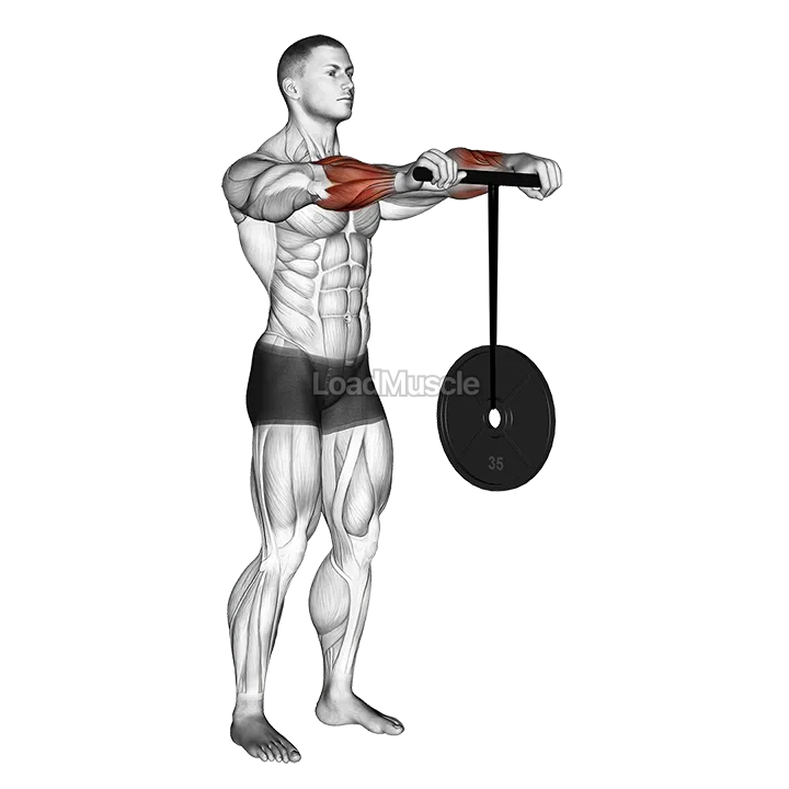 Wrist Roller demonstration