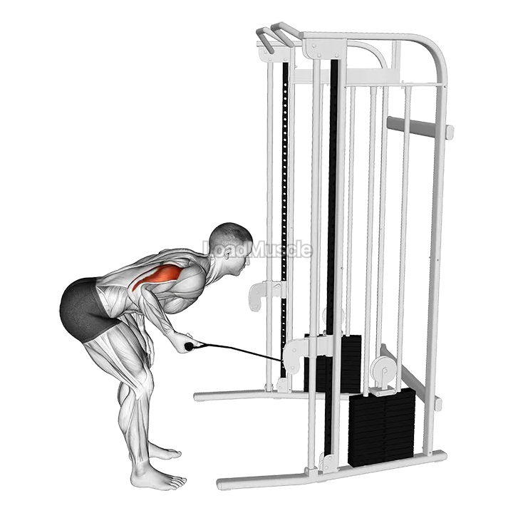Cable kickback demonstration