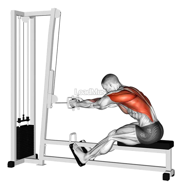 Cable seated row demonstration