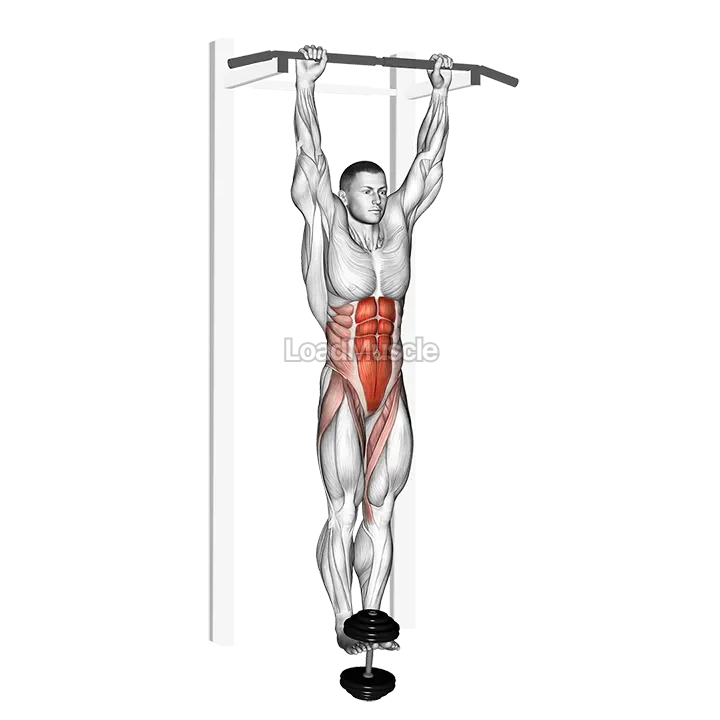 Weighted Hanging leg hip raise demonstration