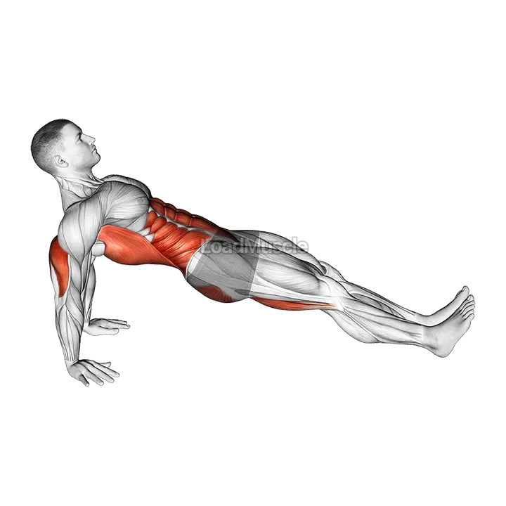 Reverse plank demonstration