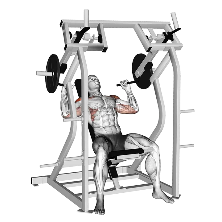 Lever Shoulder Press (plate loaded) demonstration