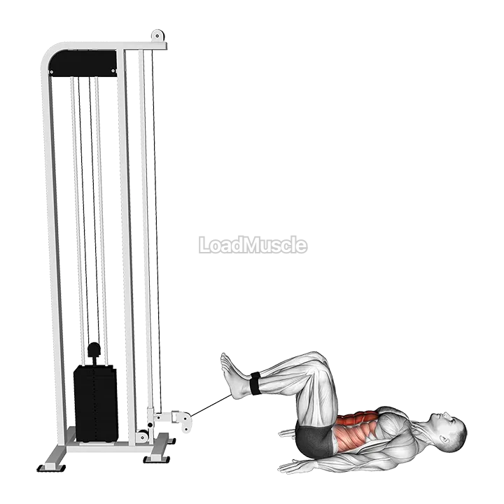 Cable Reverse Crunch demonstration