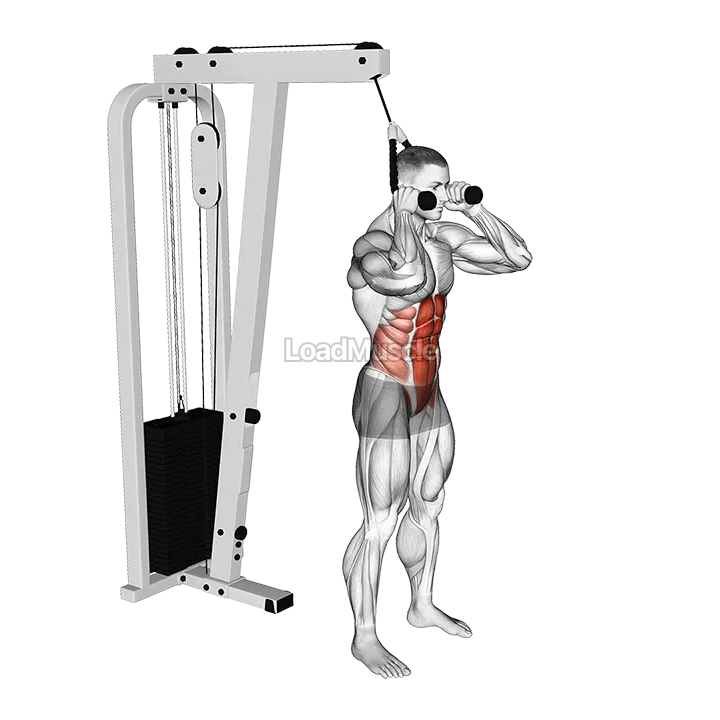 Cable Standing Crunch (with rope attachment) demonstration