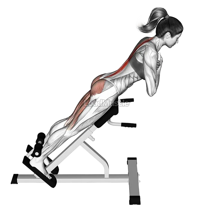 45 degree hyperextension (arms in front of chest) demonstration