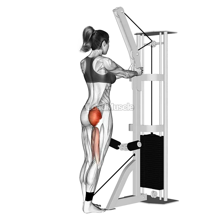 Cable standing hip extension demonstration