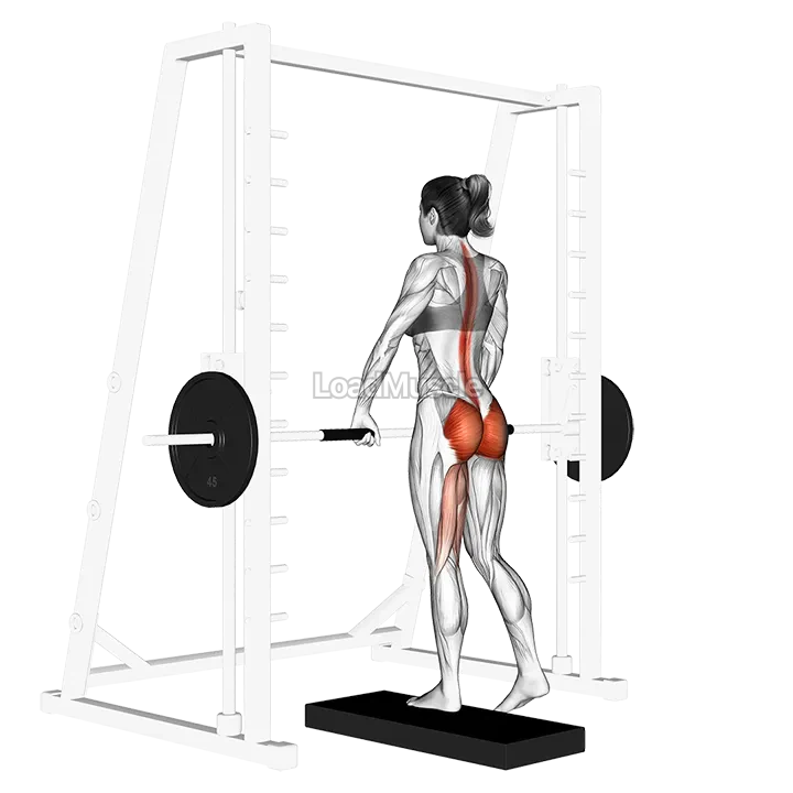 Smith One Leg Deadlift demonstration