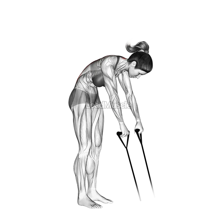 Band back extension demonstration