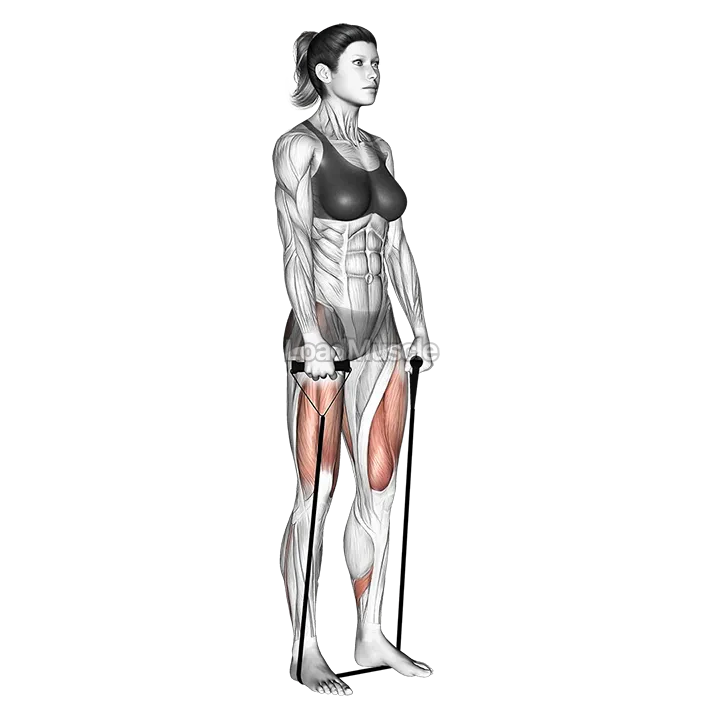 Band deadlift demonstration