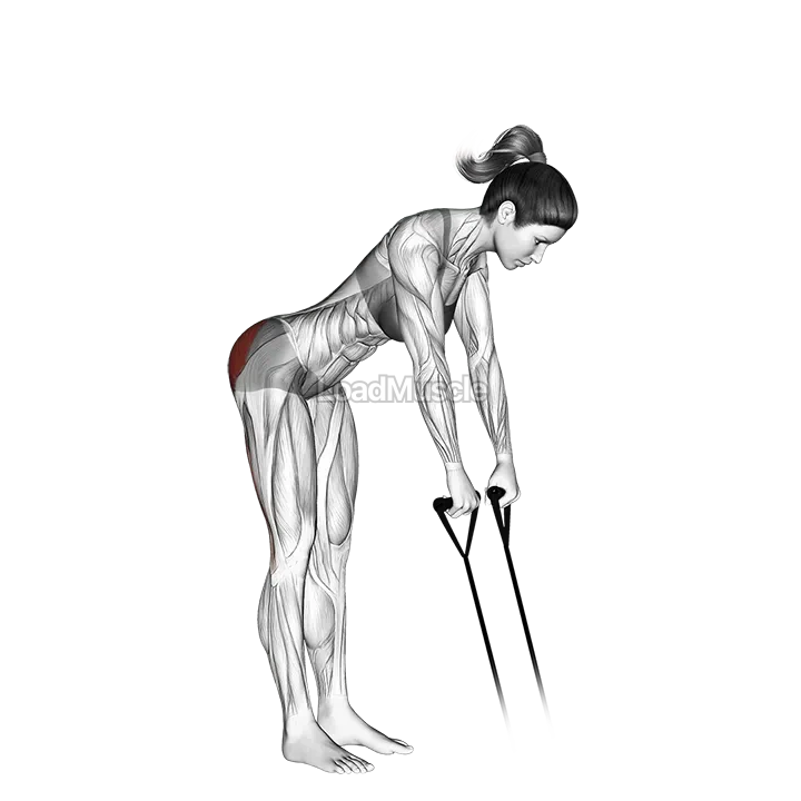 Band hip extension demonstration