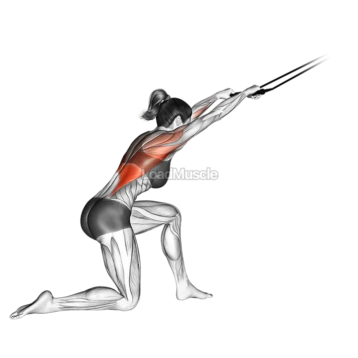 Band kneeling pulldown demonstration