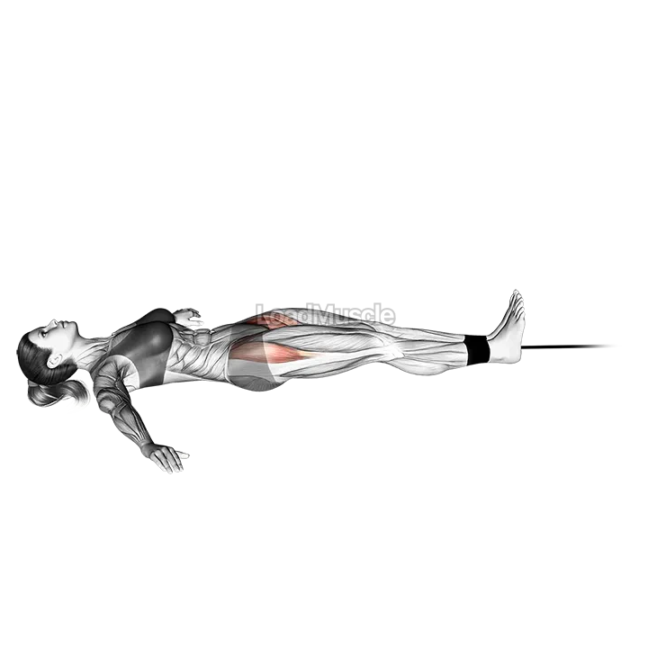 Band lying leg raise demonstration