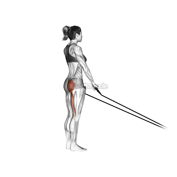 Band Single stiff leg deadlift demonstration