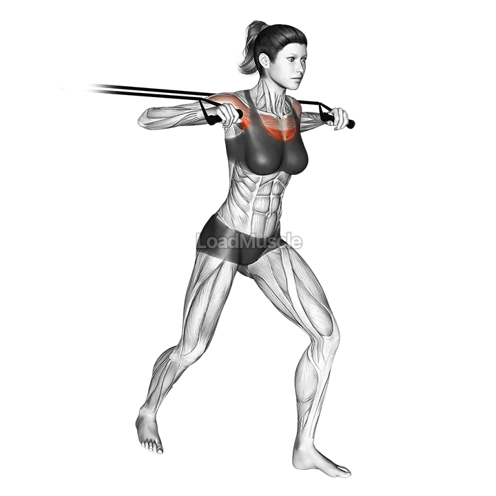 Band standing chest press demonstration