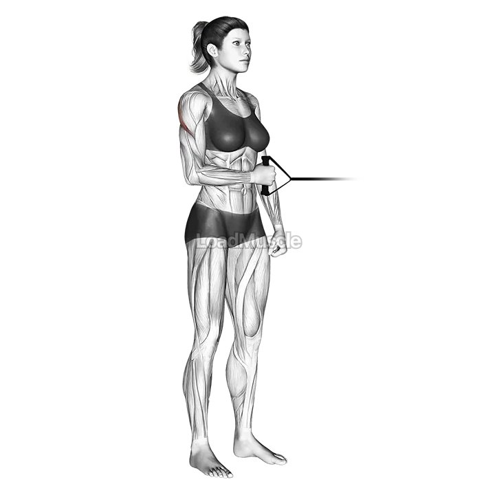 Band standing external shoulder rotation demonstration