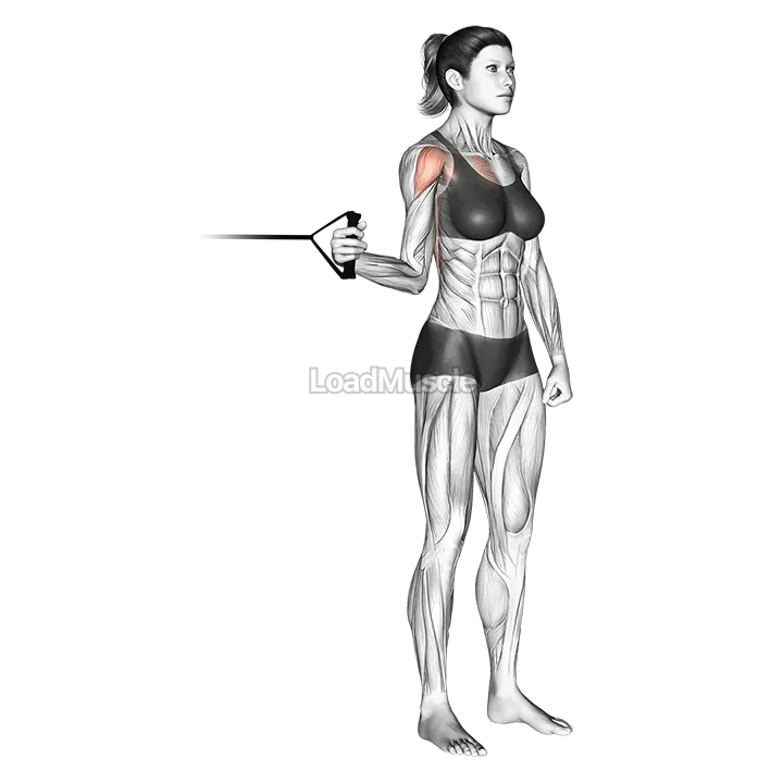 Band standing internal shoulder rotation demonstration