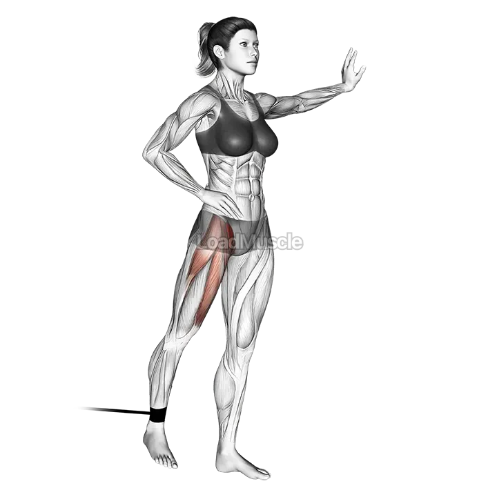 Band standing straight leg raise demonstration